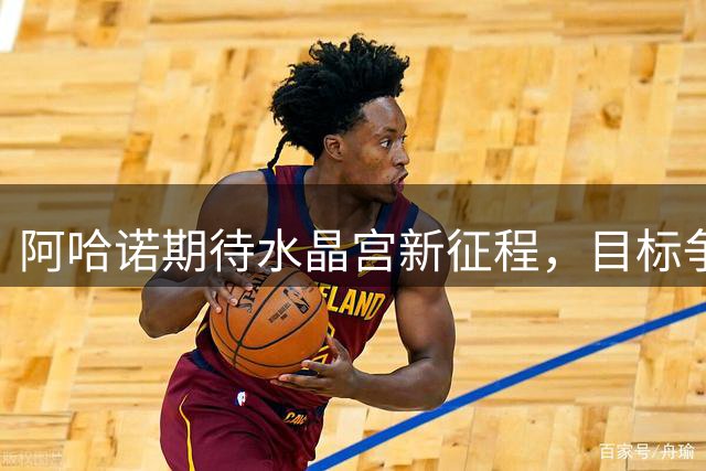 阿哈诺期待水晶宫新征程，目标争夺欧联杯桂冠